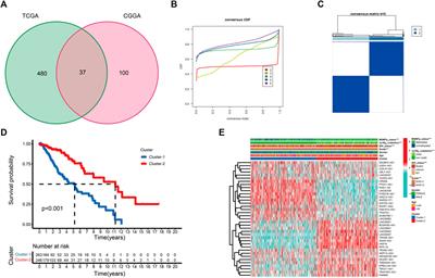 A cuproptosis-related lncRNAs signature for prognosis, chemotherapy, and immune checkpoint blockade therapy of low-grade glioma